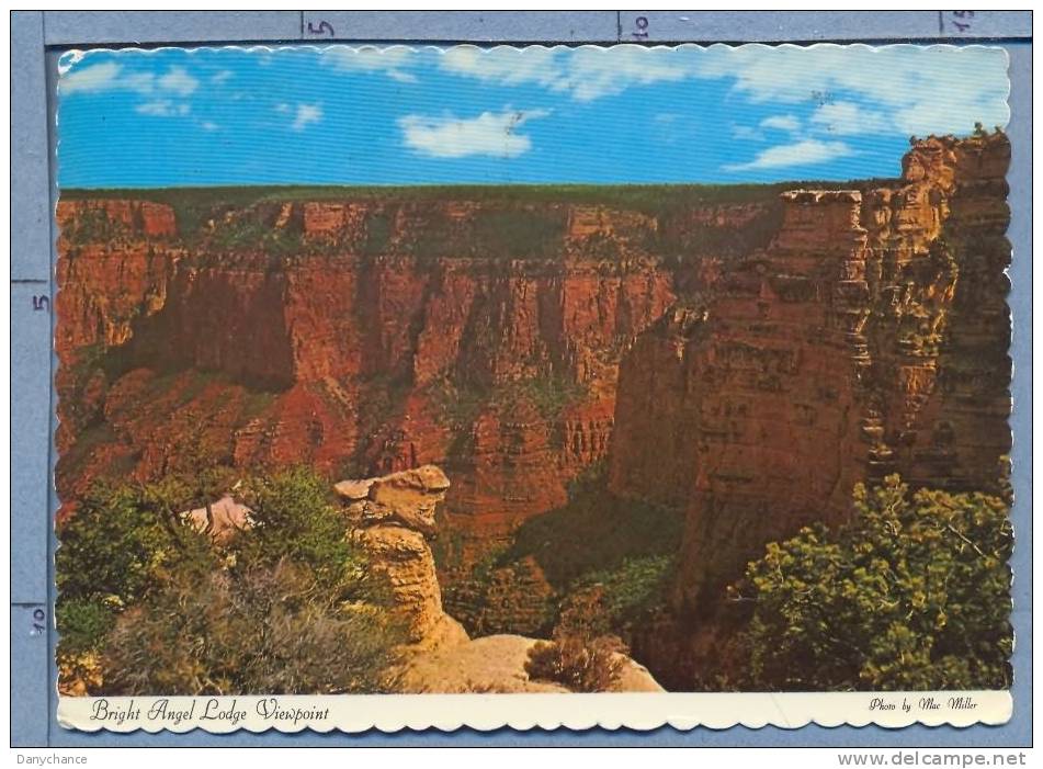 A960 ARIZONA GRAND CANYON NATIONAL PARK BRIGHT ANGEL LODGE VIEWPONTI VG - Gran Cañon