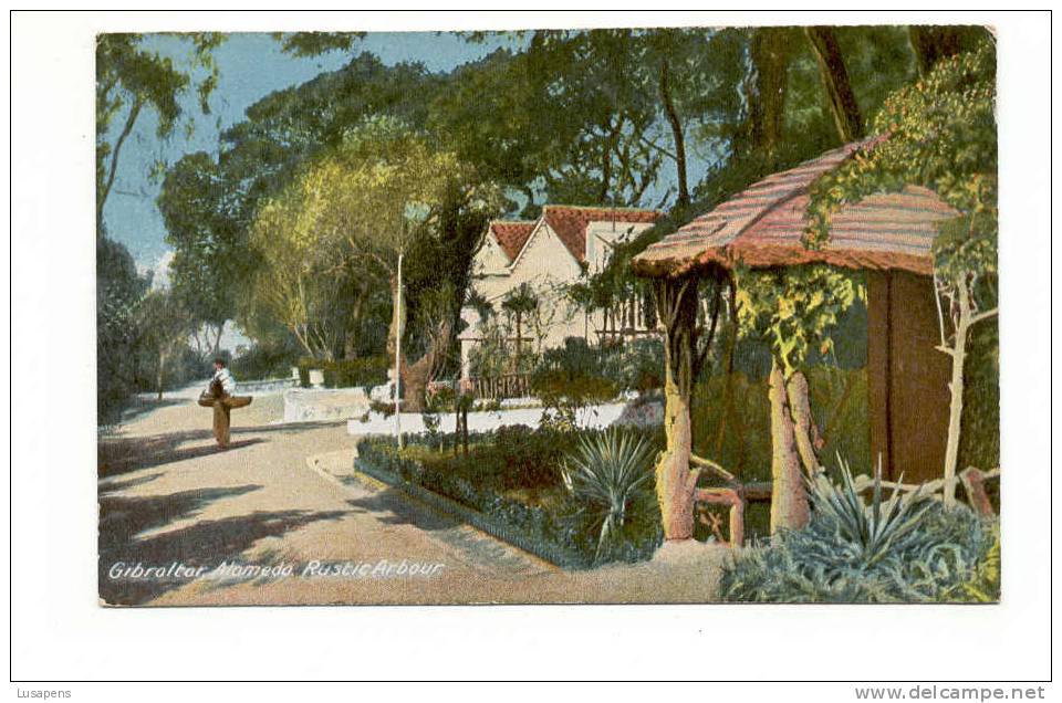 OLD FOREIGN 4167 - GIBRALTAR - ALAMEDA - RUSTIC ARBOUR - Gibilterra