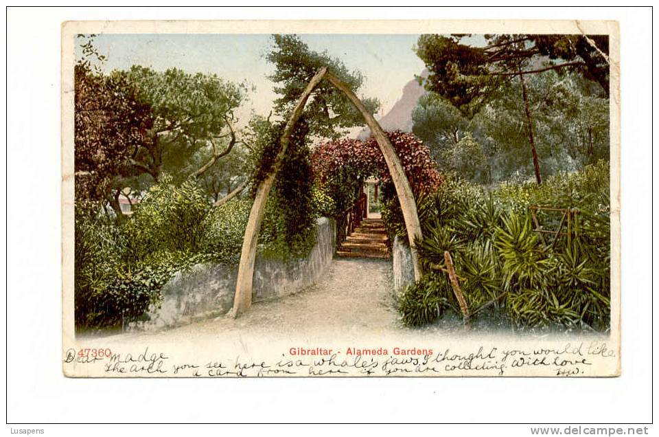 OLD FOREIGN 4168 - GIBRALTAR - ALAMEDA GARDENS - Gibilterra