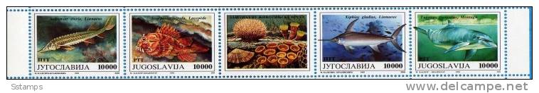 JUGOSLAVIA 1993 EXTRA OFFER FAUNA FISCHS  STRIP CATALOG PRICE 9 EURO NEVER HINGED - Ungebraucht