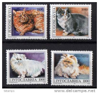 U-13  JUGOSLAVIA 1992 FAUNA GATTI CATS EXTRA OFFERRTA NEVER HINGED - Unused Stamps