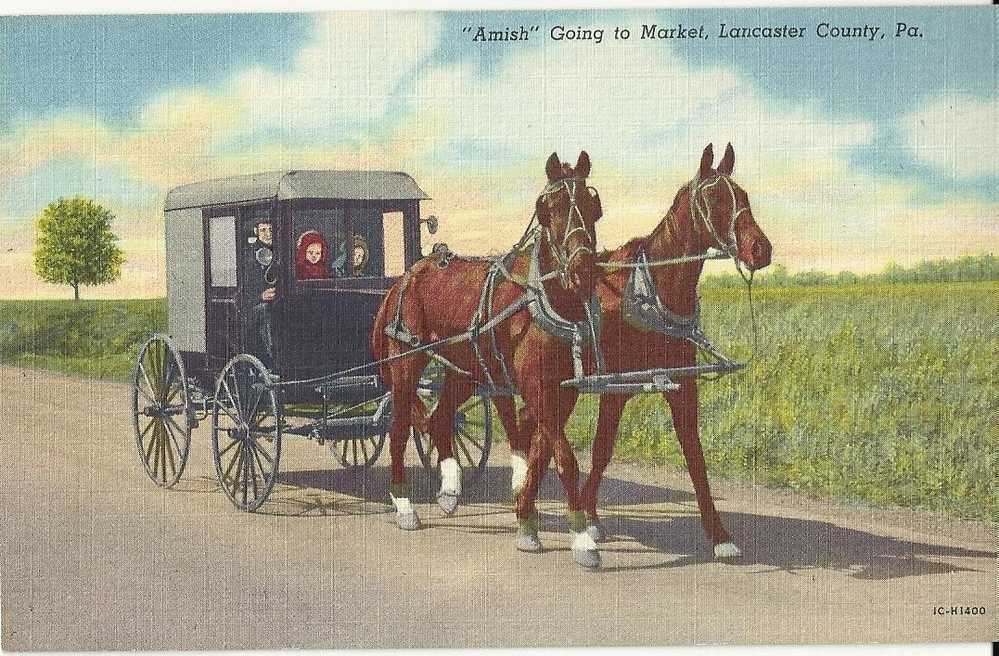 ETATS UNIS.PENNSILVANIA.AMISH GOING TO MARKET .LANCASTER COUNTY - Lancaster