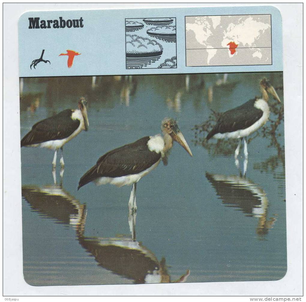 Fiche Edition Rencontre 1975 Oiseau Marabout - Dieren