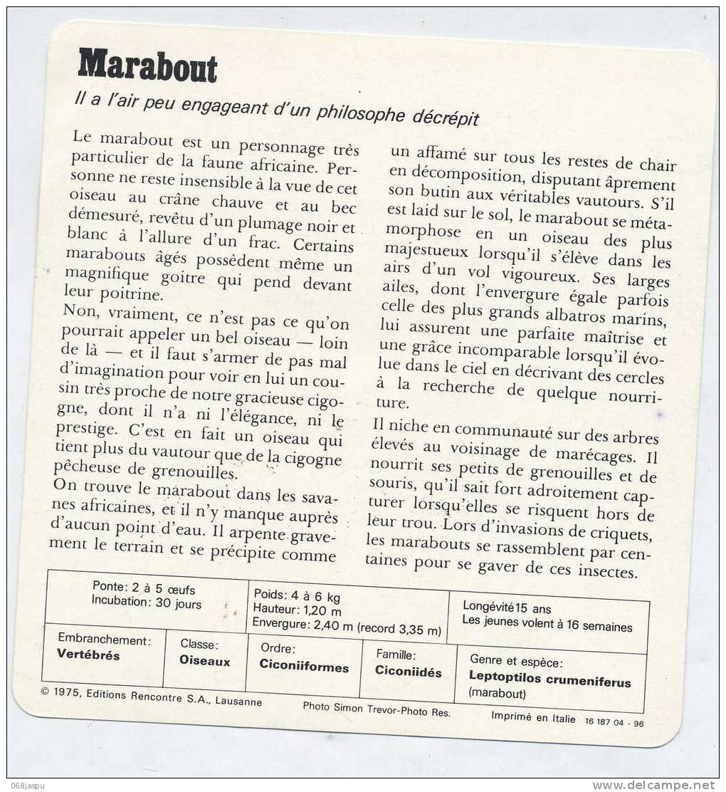 Fiche Edition Rencontre 1975 Oiseau Marabout - Dieren