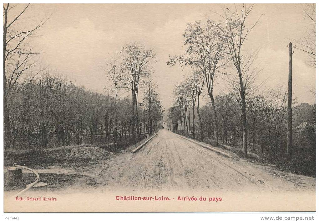 Arrivée Du Pays - Chatillon Sur Loire