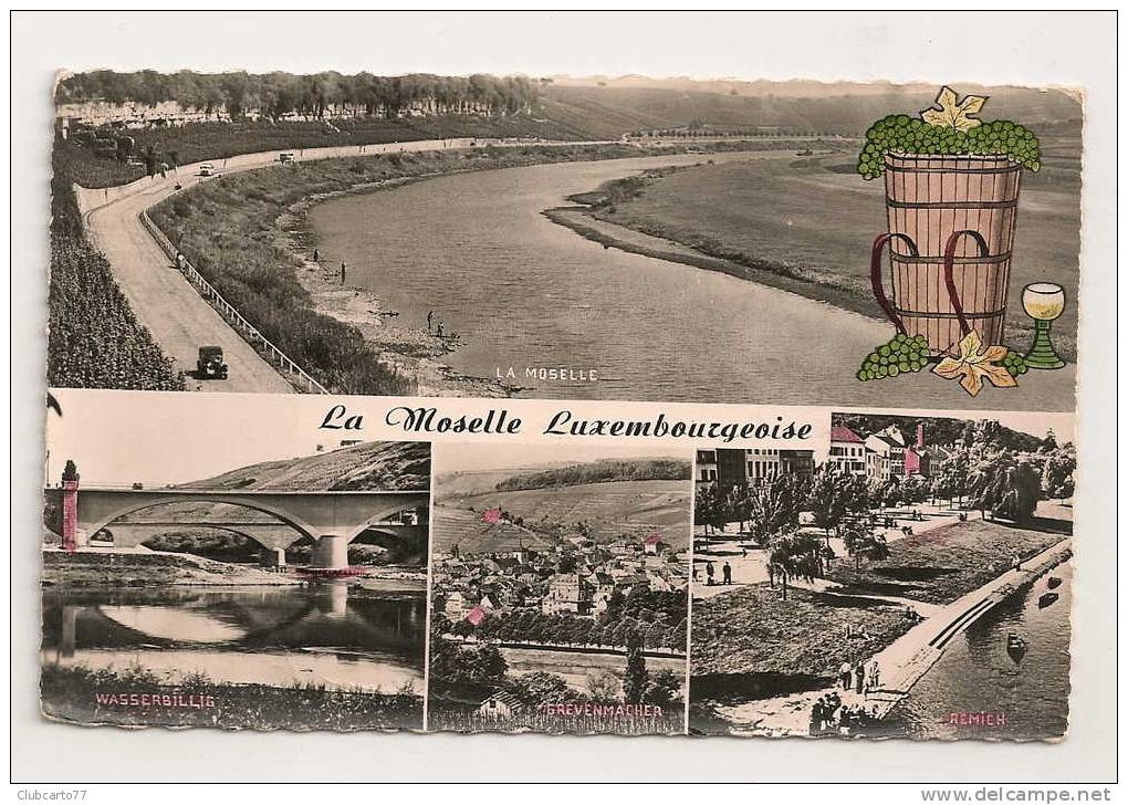 Wasserbilig, Grevenmacher, Remich (Luxembourg) : La Vallée De La Moselle Environ 1950 (animée). - Remich