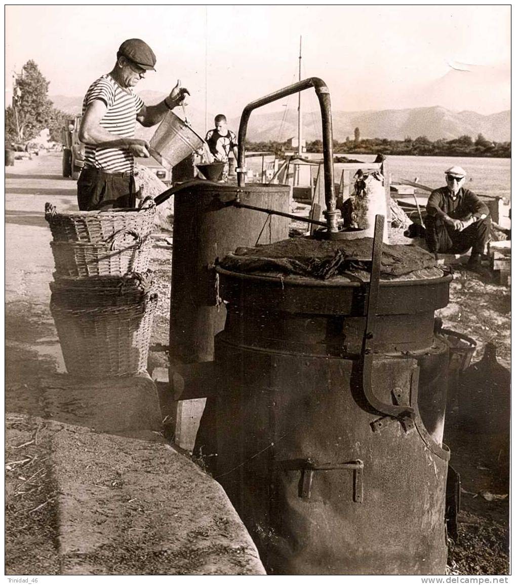 BOUILLEUR DE CRU ALAMBIC ( BORDS DU RHONE ) PHOTOGRAPHIE ANCIENNE SUPERBE ! ! ! - Other & Unclassified