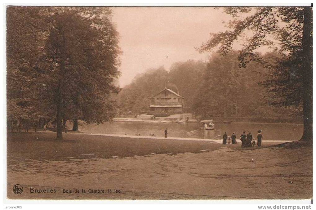 BELGIQUE - BRUXELLES - CPA - N°195 - Bois De La Cambre, Le Lac - Forêts, Parcs, Jardins