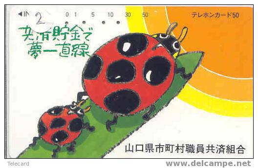 COCCINELLE KÄFER  Lieveheersbeestje LADYBIRD Telecarte (2) - Lieveheersbeestjes