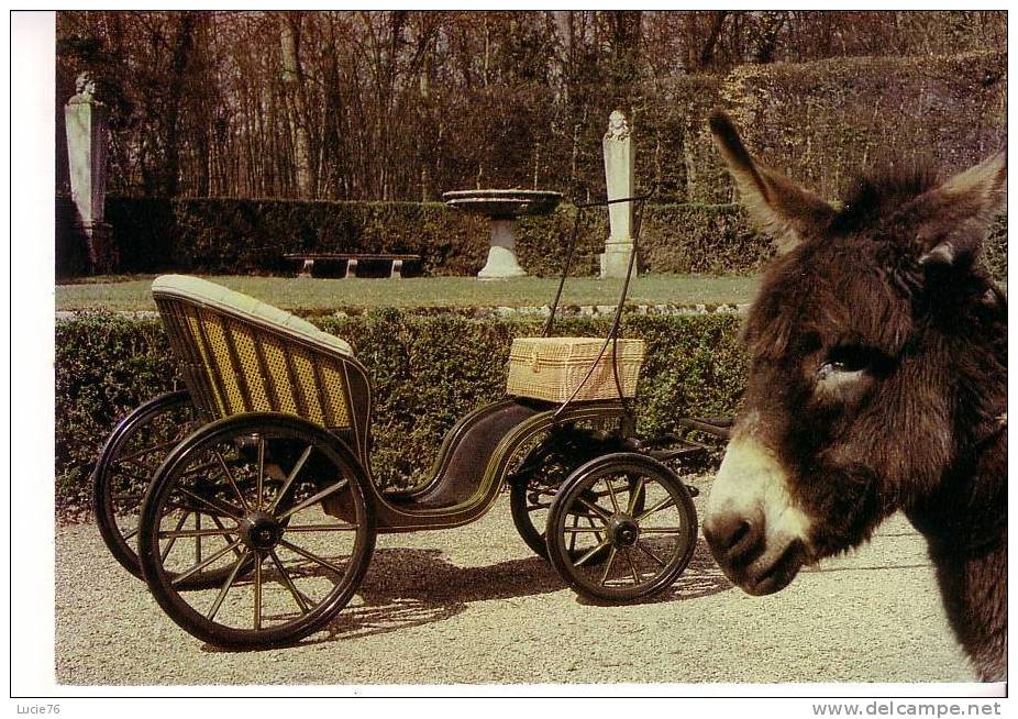 VAUX LE VICOMTE  - Château -     LES EQUIPAGES -  PONEY CHAISE -  1870 -  N° 13 - Vaux Le Vicomte