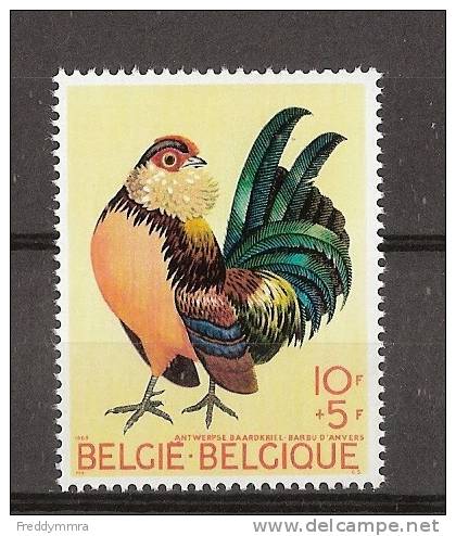 Belgique:  1513 **  Coq - Galline & Gallinaceo
