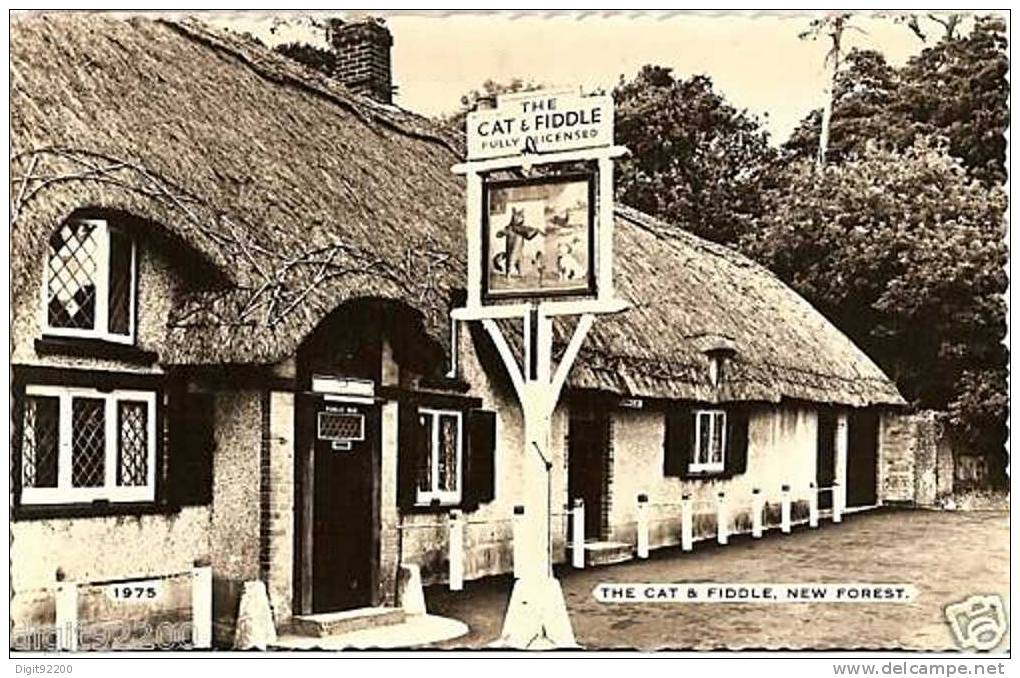 U.K. - THE CAT & FIDDLE. NEW FOREST - CPSM 1975 - Sonstige & Ohne Zuordnung