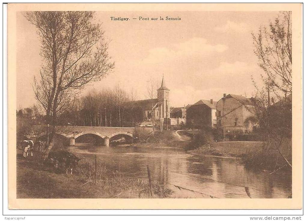 Belgique : TINTIGNY  Pont Sur La Semois - Tintigny