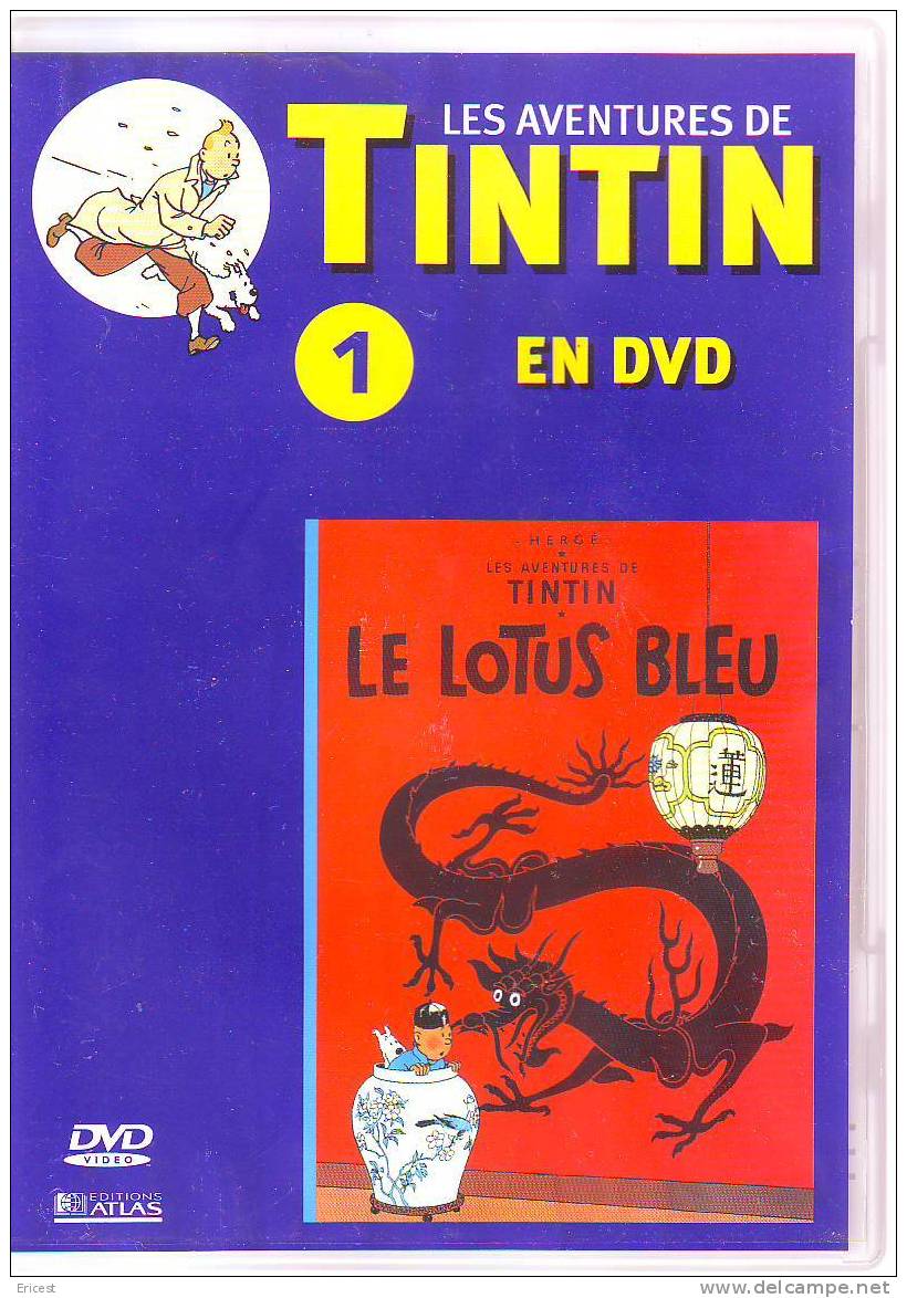 DVD TINTIN 1 LE LOTUS BLEU (3) - Cartoni Animati