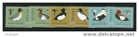 POLAND 1985 DUCKS MNH - Entenvögel