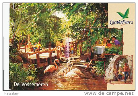 Lommel - De Vossemeren - 1999 - Lommel