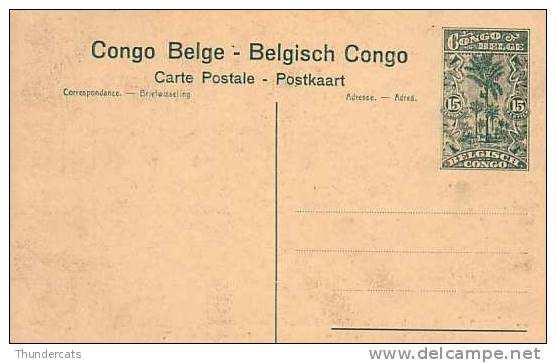 CONGO BELGE * BELGISCH CONGO * CONGO BELGIUM * 15 CENTIMES * NO 116 LE MINISTRE DES COLONIES RECU A UNE MISSION ... - Entiers Postaux