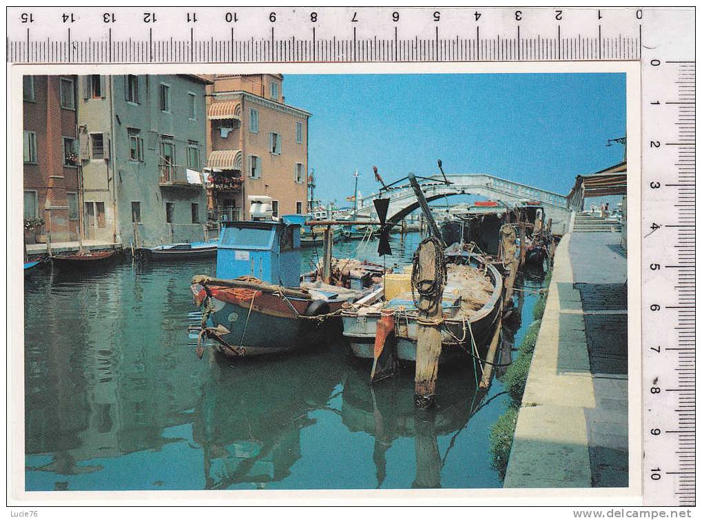 CHIOGGIA -  Litorale Veneziano - N°  L 27 -  Bâteaux De Pêche - Chioggia