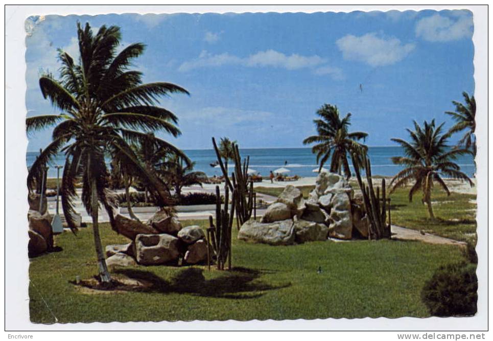 Cpsm ARUBA Netherlands Antilles Garden Near Hotel Caribbean - Andere & Zonder Classificatie