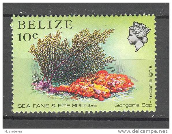 Belize 1984 SG. 772  10c. Queen Elizabeth II. Marine Life Sea Fans And Fire Sponge MH - Belice (1973-...)