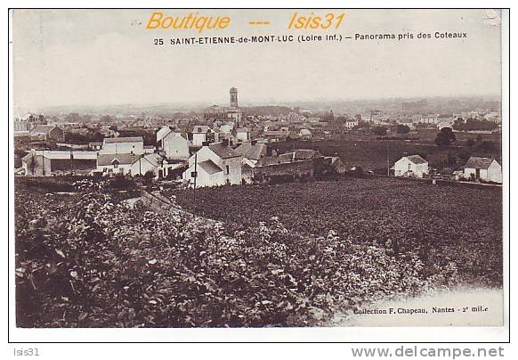 Dép 44 - RF19781 - Saint Etienne De Montluc - Panorama Pris Des Coteaux - état - Saint Etienne De Montluc