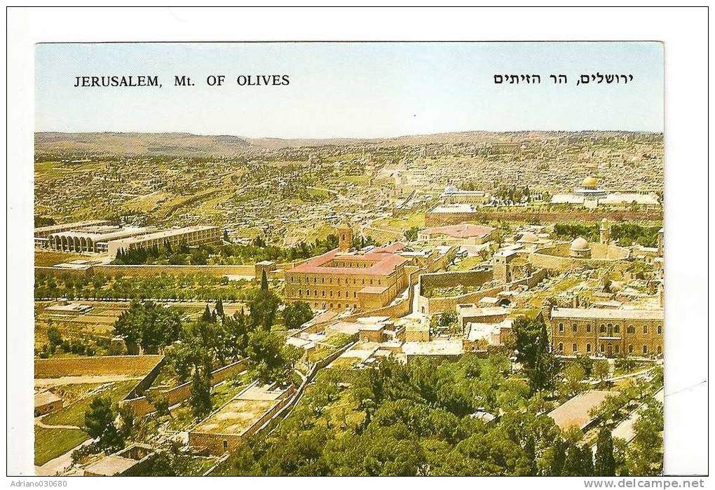 CARTOLINA DELLA TERRA SANTA   JERUSALEM GERUSALEMME MT OF OLIVES - Israel