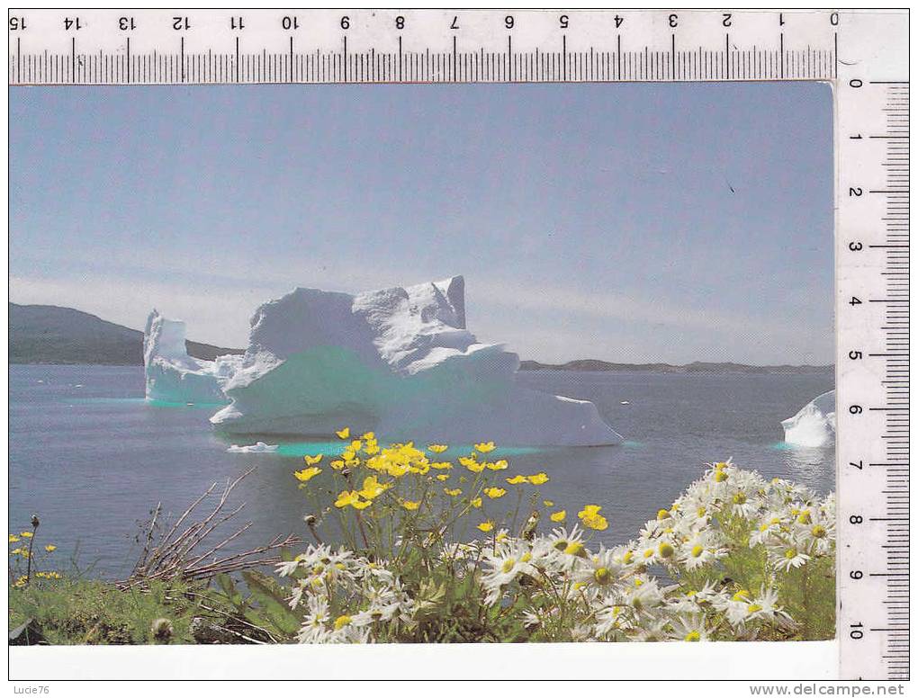 SYDGRONLAND  - N° GA 32 - ICEBERG - TAAF : Franz. Süd- Und Antarktisgebiete