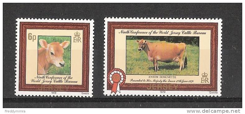 Jersey: 186/ 187 **  Vaches - Vaches