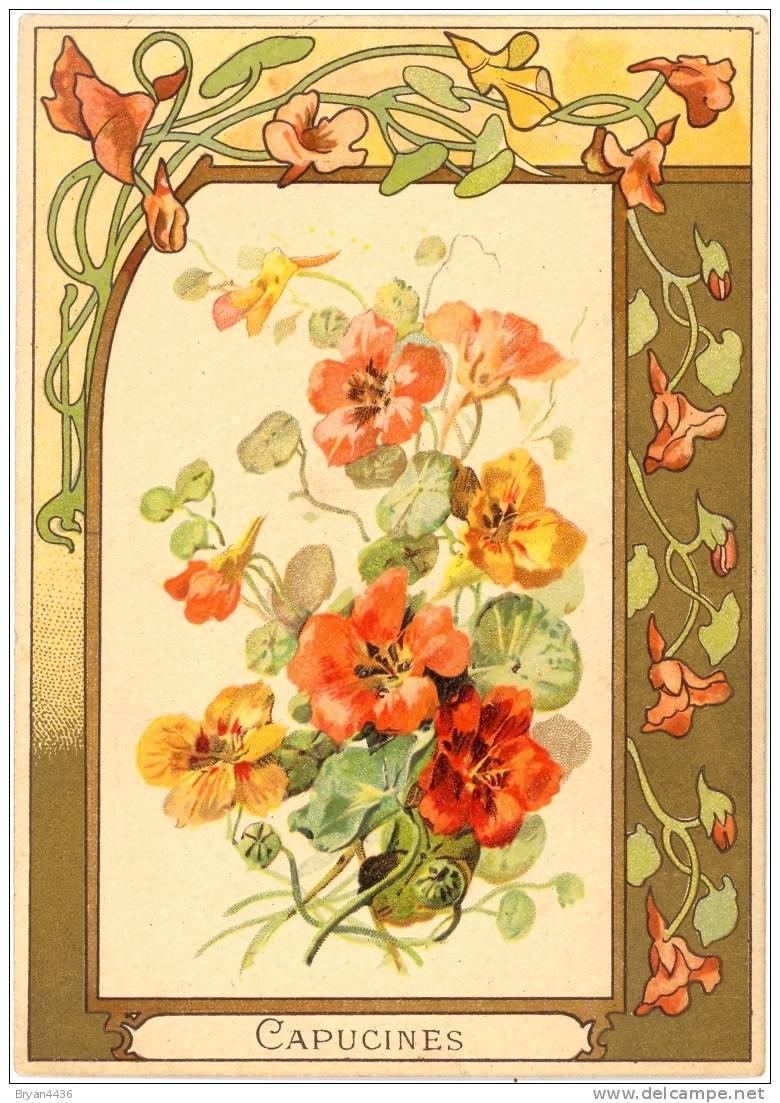 SUPERBE CHROMO - ART NOUVEAU - " CAPUCINES" Composition Florale Dans Un Décor "ART NOUVEAU" TRES BEL ETAT ( - Other & Unclassified