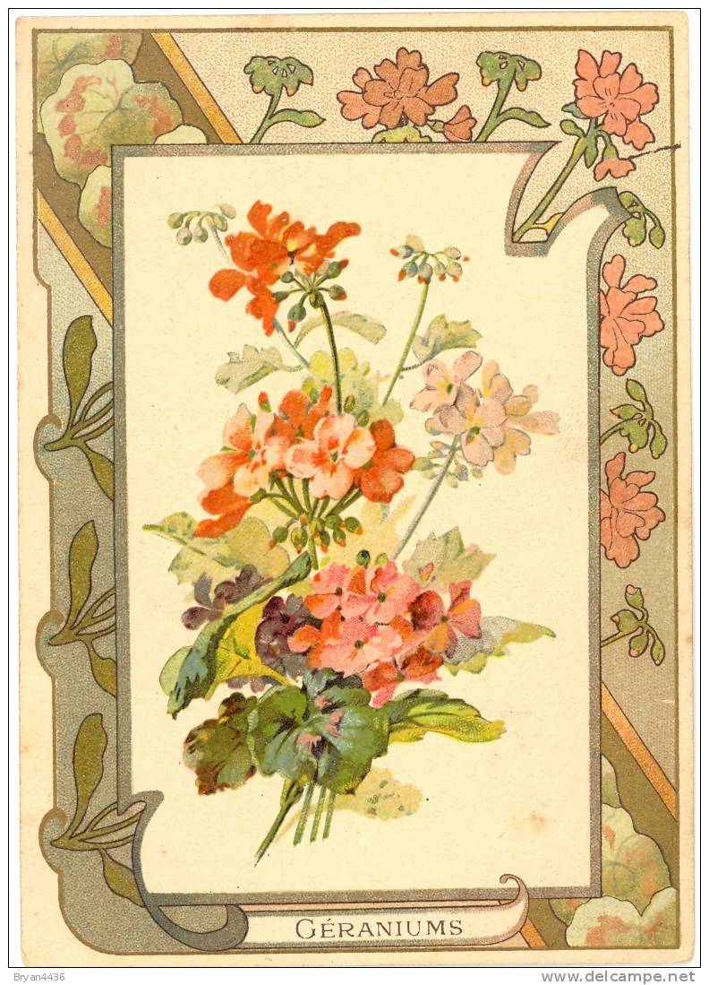 SUPERBE CHROMO - ART NOUVEAU -"PAVOTS SOMNIFERES" Composition Florale Dans Un Décor "ART NOUVEAU" TRES BEL ETAT ( - Other & Unclassified