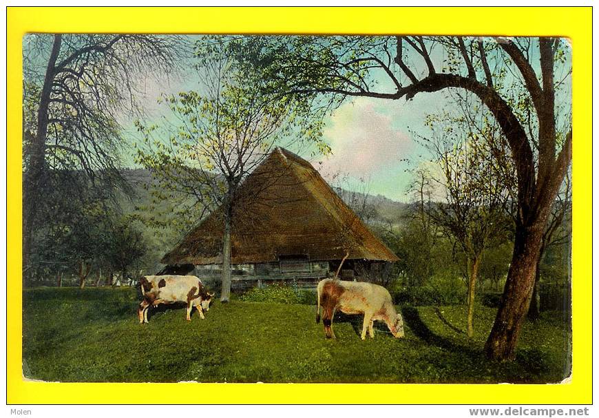 CARTE EMAILLE : FERME & VACHE - BOERDERIJ Met KOE En STIER      033 - Bauernhöfe