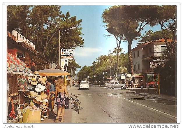 43512)cartolina Illustratoria Marina Di Massa - Viale Delle Pinete E Panorama - Massa