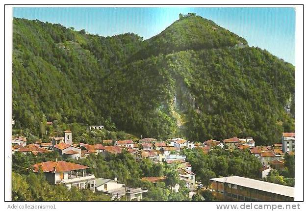 43552)cartolina Illustratoria Montignoso - Panorama - Massa