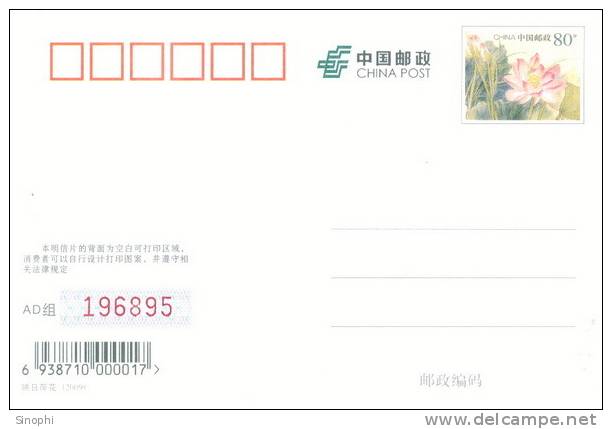 K - BE - 14   @  Tsingtao  Beer  ,     ( Postal Stationery , Articles Postaux ) - Beers