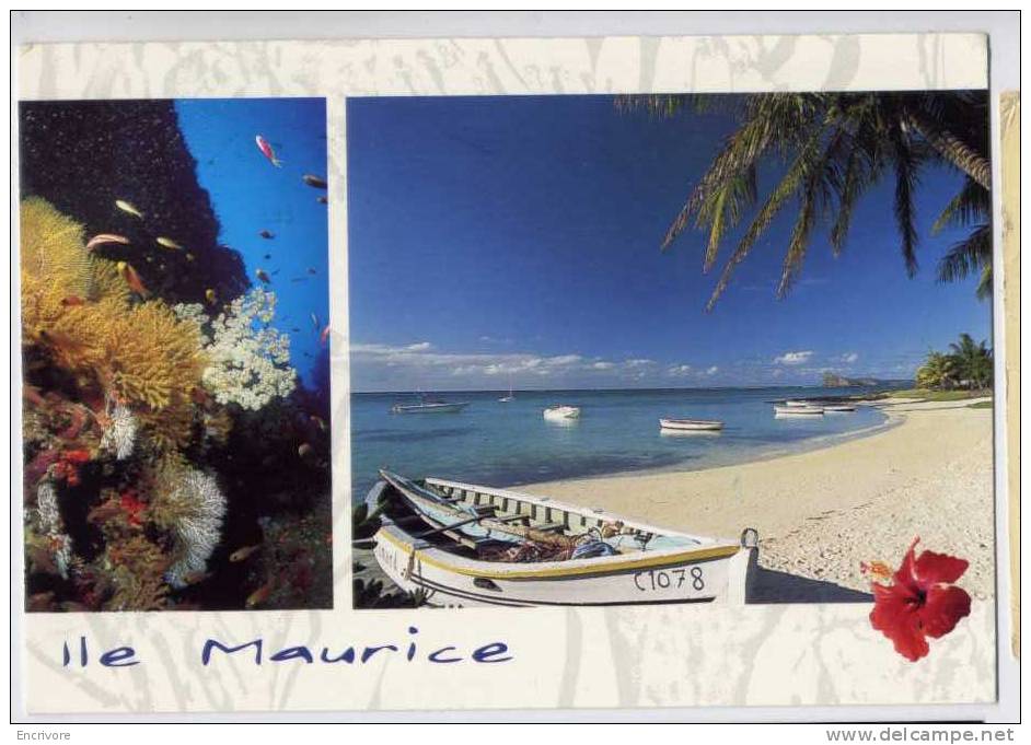 Cpm ILE MAURICE Pereybere - Ph Nourault - Mauritius