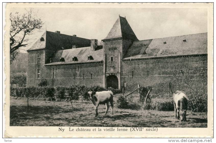 Ny - Le Château Et La Vieille Ferme ( XVIIe Siècle ) - Hotton