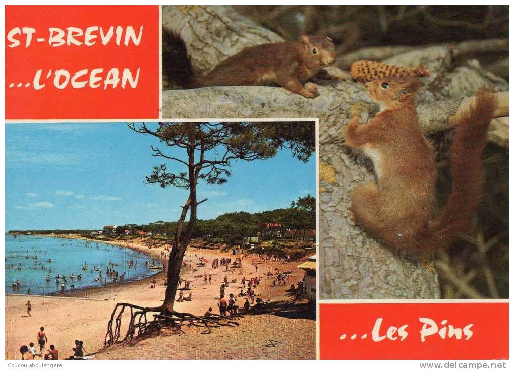 SAINT BREVIN (44) - Saint-Brevin-l'Océan