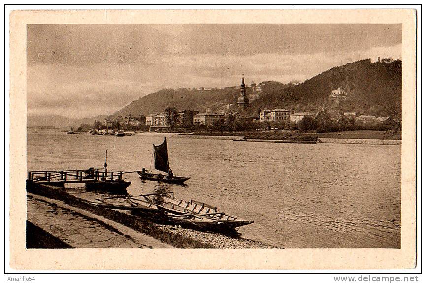 RAR Schandau Bei Dresden Um 1920 - Bad Schandau