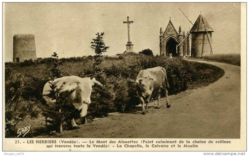 85-LES HERBIERS-LE MONT DES ALOUETTES...LA CHAPELLE,LE CALVAIRE ET LE MOULIN AVEC VACHES......CPA - Les Herbiers