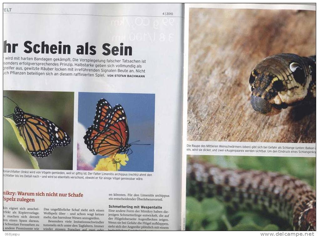 Revue Natur Theme Champignon Papillon - Sonstige & Ohne Zuordnung