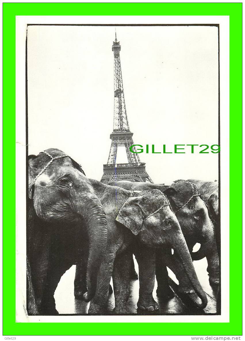 ÉLÉPHANTS - LA TOUR EIFFEL, PARIS - PARADE DES ELÉPHANTS - GUY LE QUERREC, 1979 - COÉDITION GALERIE MARION-VALENTINE - - Elefantes