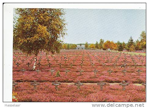 Lommel - Deutscher Soldatenfriedhof - Lommel