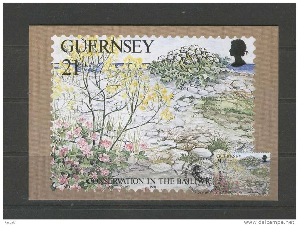 Guernesey Carte Maximum Avec Timbre - Autres & Non Classés