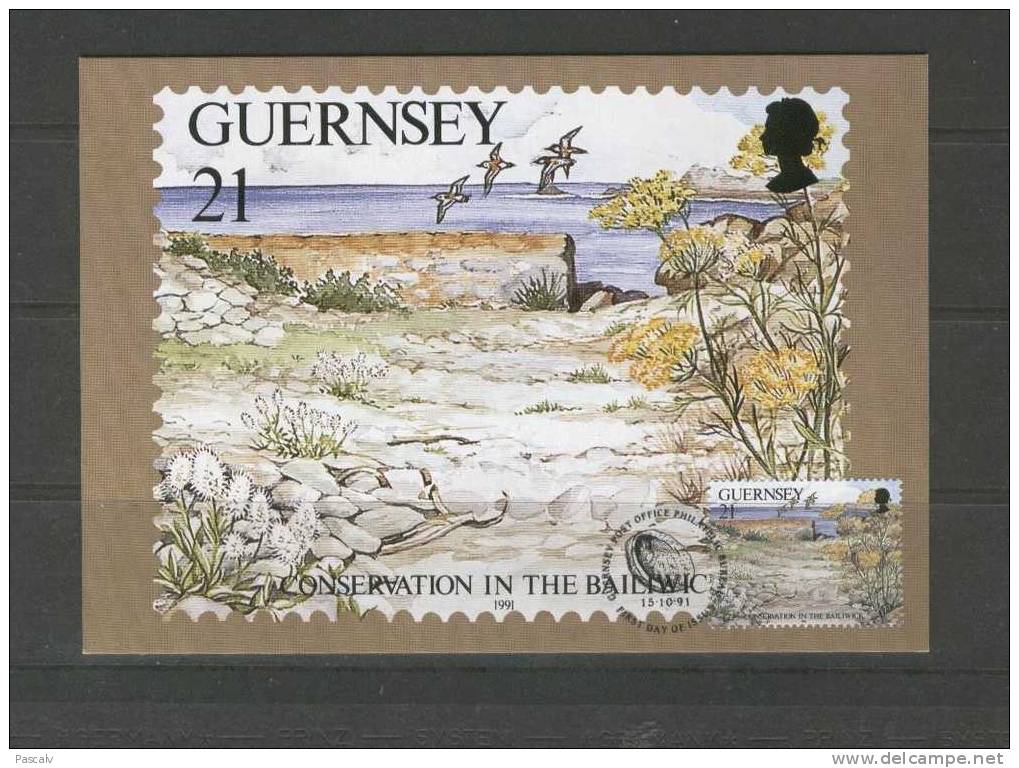 Guernesey Carte Maximum Avec Timbre - Autres & Non Classés