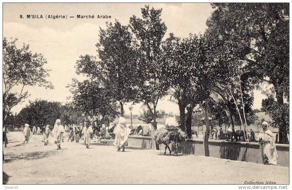 ALGERIE - M´SILA - Marché Arabe - M'Sila