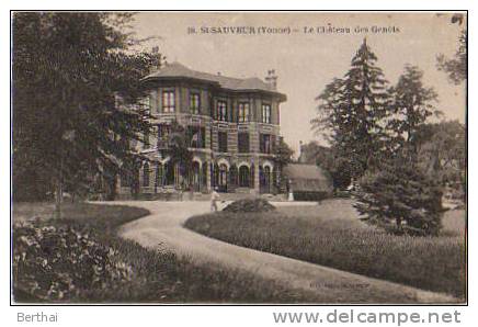 89 SAINT SAUVEUR - Le Chateau Des Genets - Saint Sauveur En Puisaye