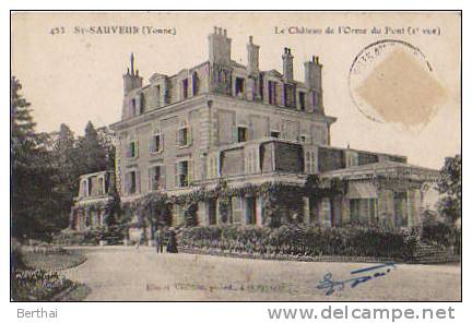 89 SAINT SAUVEUR - Le Chateau De L Orme Du Pont (2e Vue) - Saint Sauveur En Puisaye