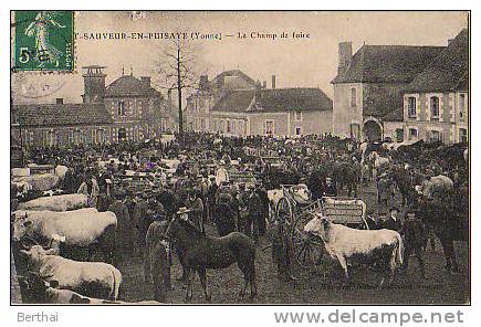 89 SAINT SAUVEUR EN PUISAYE - Le Champ De Foire - Saint Sauveur En Puisaye