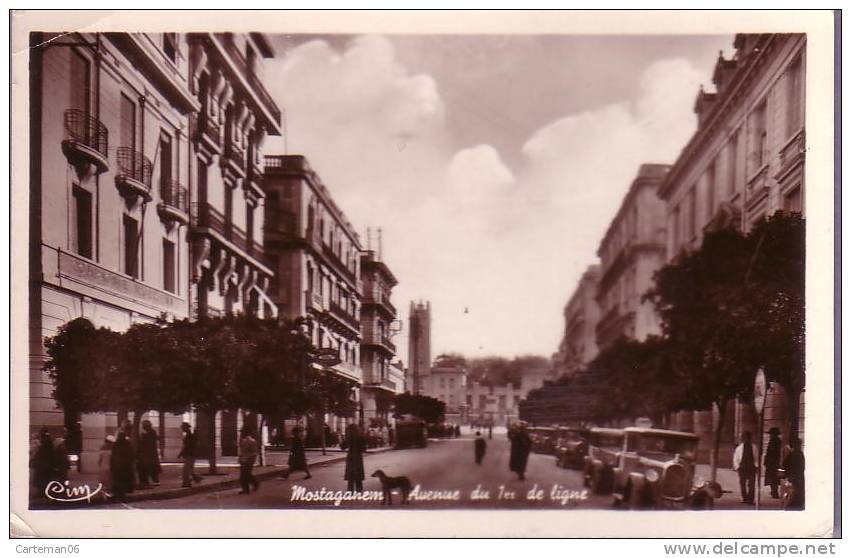 Algérie - Mostaganem - Avenue Du 1er De Ligne (voitures, Automobile) - Mostaganem