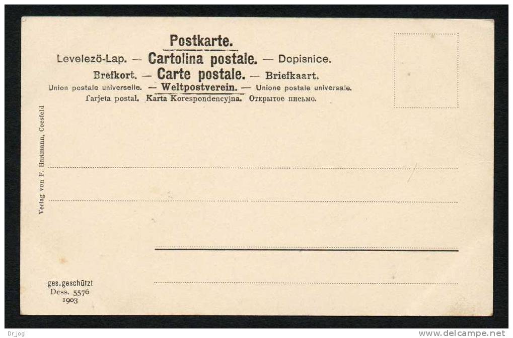 GE62) Coesfeld - Rathaus - 1903 - Undivided Back - Coesfeld